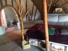 Swazi Dreams Nqabaneni Eco-Volunteering