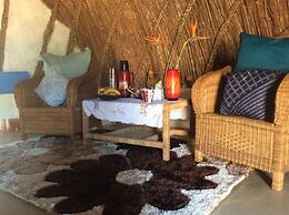 Swazi Dreams Nqabaneni Eco-Volunteering