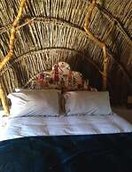 Swazi Dreams Nqabaneni Eco-Volunteering