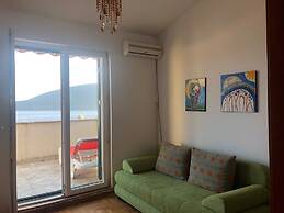 House in Herceg Novi