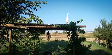 Agriturismo San Matteo