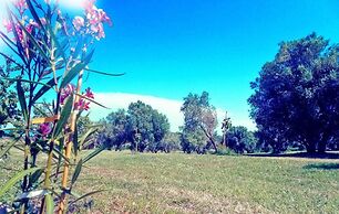 Agriturismo San Matteo