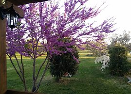 Agriturismo San Matteo