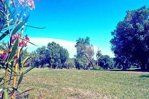 Agriturismo San Matteo