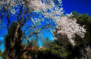 Agriturismo San Matteo