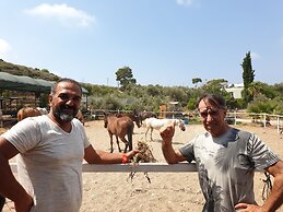 Patara Caretta Hotel