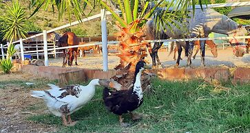 Patara Caretta Hotel