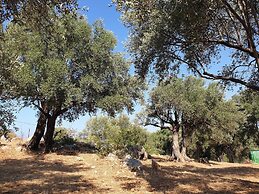 Patara Caretta Hotel