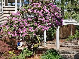 McKinley Edwards Inn