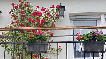 Les iris Chambres D Hôtes