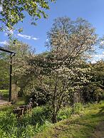 The Anderson Cottage Bed & Breakfast