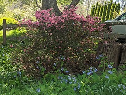 The Anderson Cottage Bed & Breakfast
