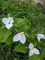 The Anderson Cottage Bed & Breakfast