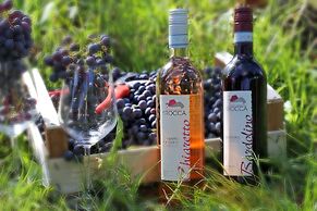 Agriturismo La Rocca