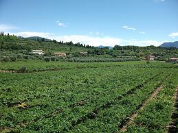 Agriturismo La Rocca