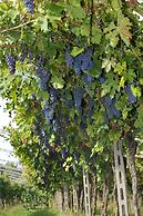 Agriturismo La Rocca