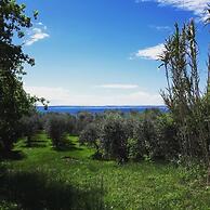 Agriturismo La Rocca