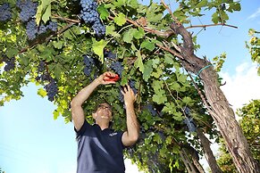 Agriturismo La Rocca