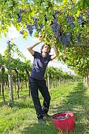 Agriturismo La Rocca