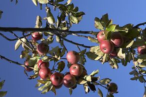 Azienda Agricola Le tore srl