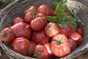 Azienda Agricola Le tore srl