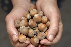 Azienda Agricola Le tore srl