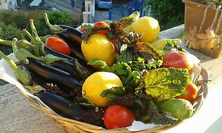 Azienda Agricola Le tore srl