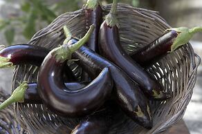 Azienda Agricola Le tore srl