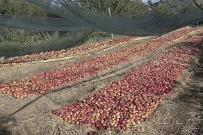 Azienda Agricola Le tore srl