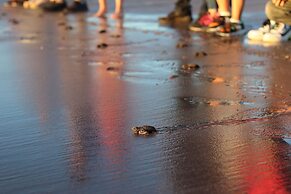 Playa Esperanza Resort