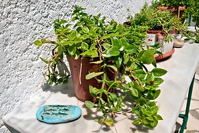 New Aurora Apts Studios