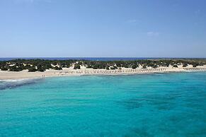 New Aurora Apts Studios