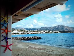 New Aurora Apts Studios