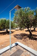 New Aurora Apts Studios