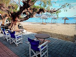 New Aurora Apts Studios