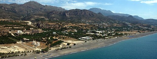 New Aurora Apts Studios