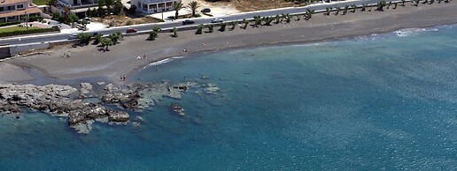 New Aurora Apts Studios