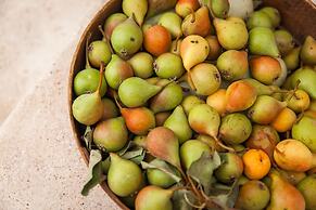 Trulli 18cinquantanove