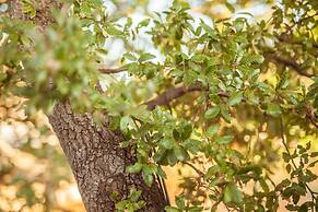 Trulli 18cinquantanove