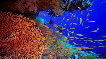 Club Kaafu Dhiffushi