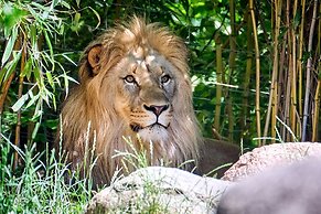 LÉGÈRE EXPRESS Leipzig