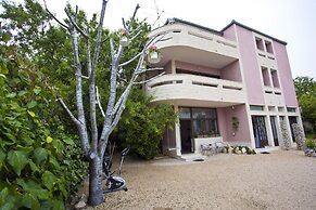 Apartments Silver Tree