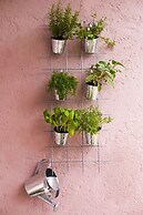 Apartments Silver Tree