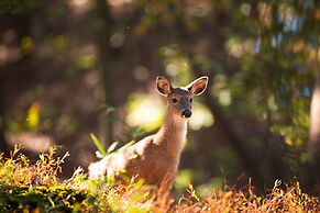 The Villas at Coosawattee River Resort