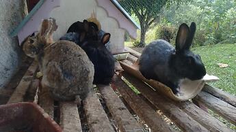 Hotel Fazenda Bandeirantes