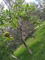 Selale Stone House Boutique Hotel