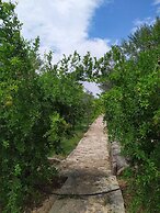 Selale Stone House Boutique Hotel