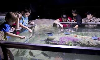 Hilton Garden Inn Cedar Park Austin