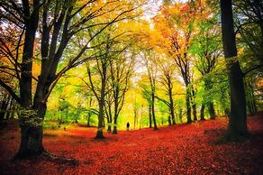 B&B Borgo del Fornello