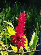 Puri Raya Villa Ubud